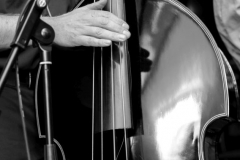 contrabaszw